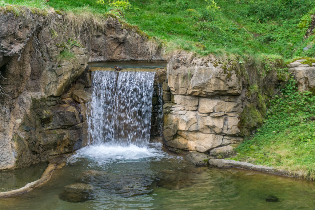 small zoo waterfall